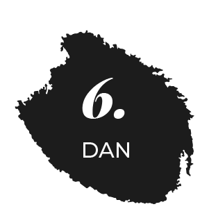 dan 6